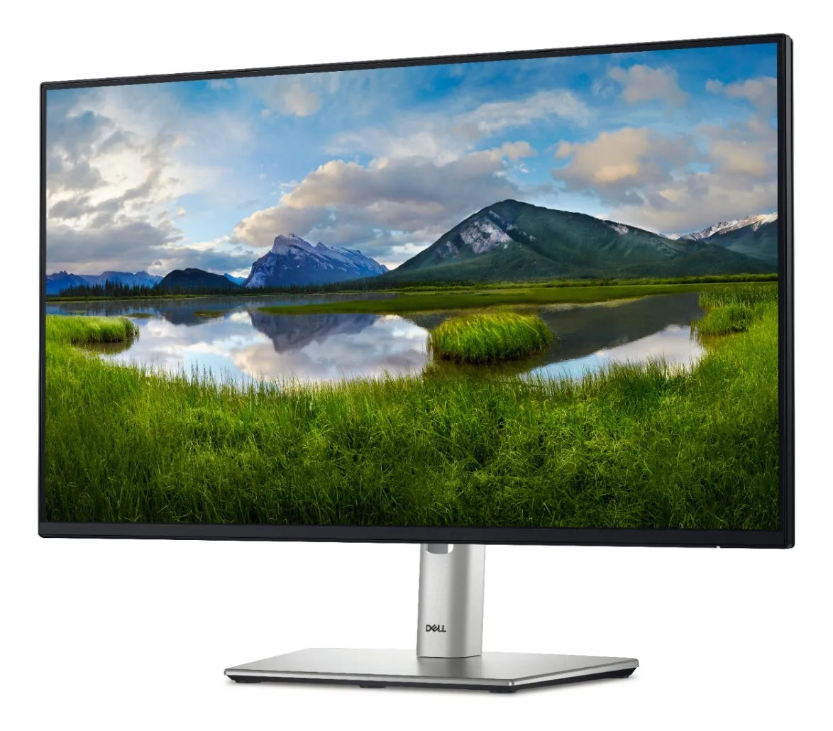Monitor Dell 24" P2425H Full HD IPS – Ajustable y Ergonómico