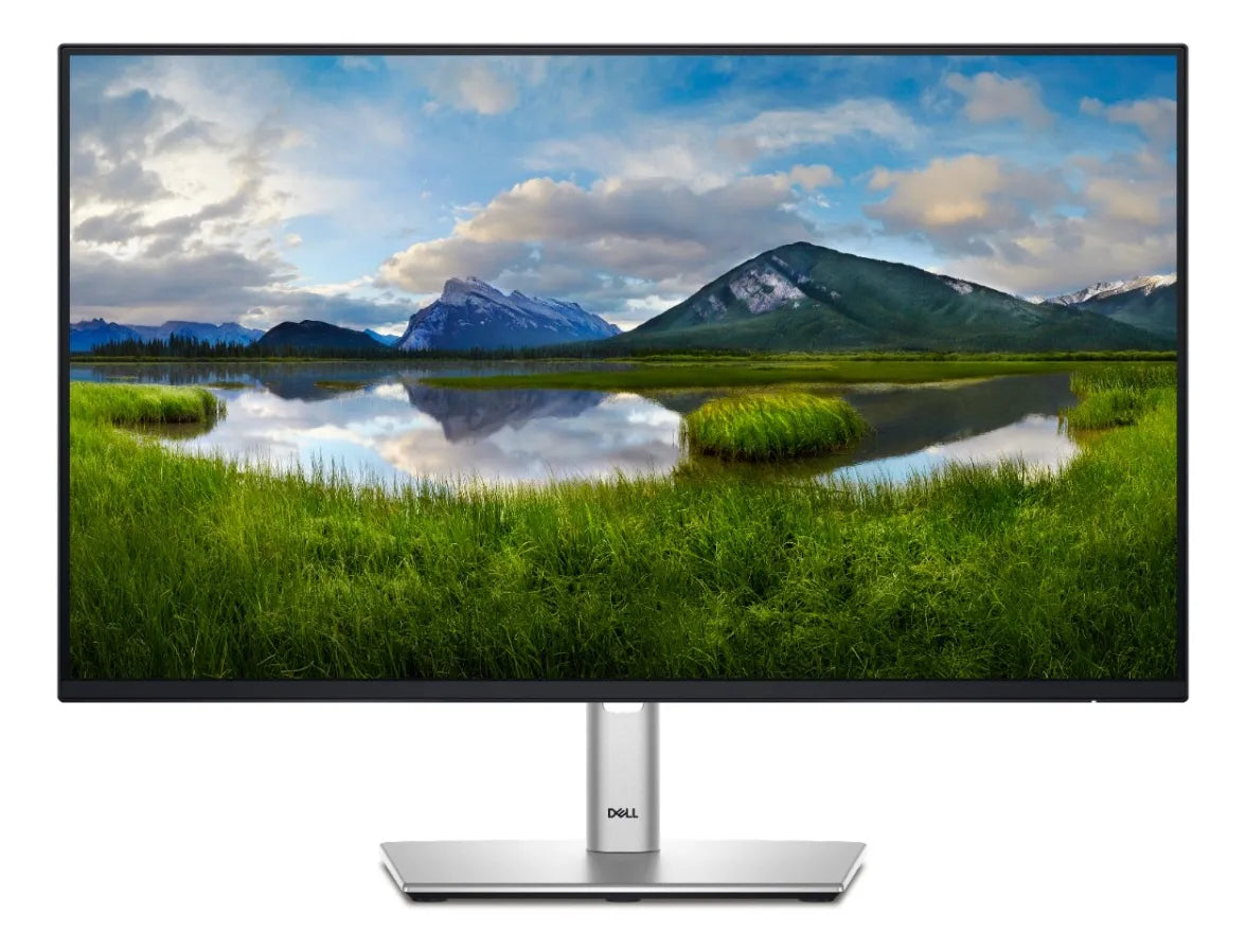 Monitor Dell 24" P2425H Full HD IPS – Ajustable y Ergonómico